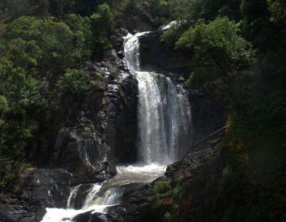DISCOVER THE WILD BEAUTY OF NYIKA NATIONAL PARK
